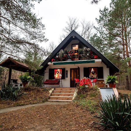 Ladybird Lodge เบลา เซิร์ควา ภายนอก รูปภาพ